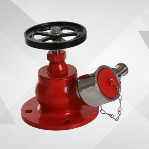 Fire Hydrant Valve (Single Type)