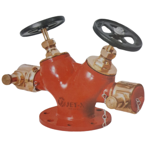 Double valve hydrant